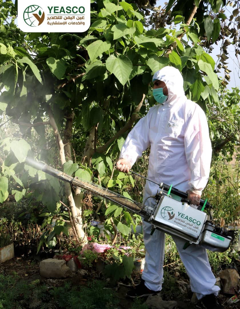 التبخير والتعقيم