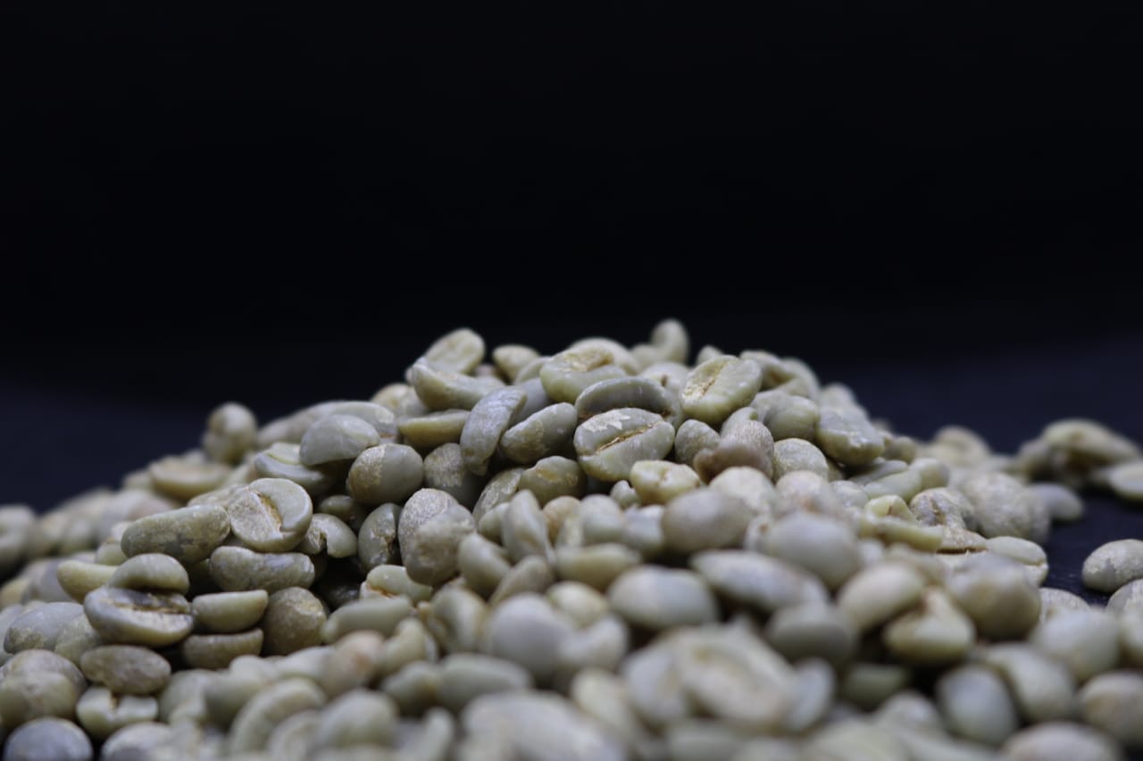 بن أسماعيلي-مختص بن أسماعيلي-مختص