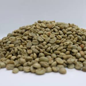 بن مطري بن مطري